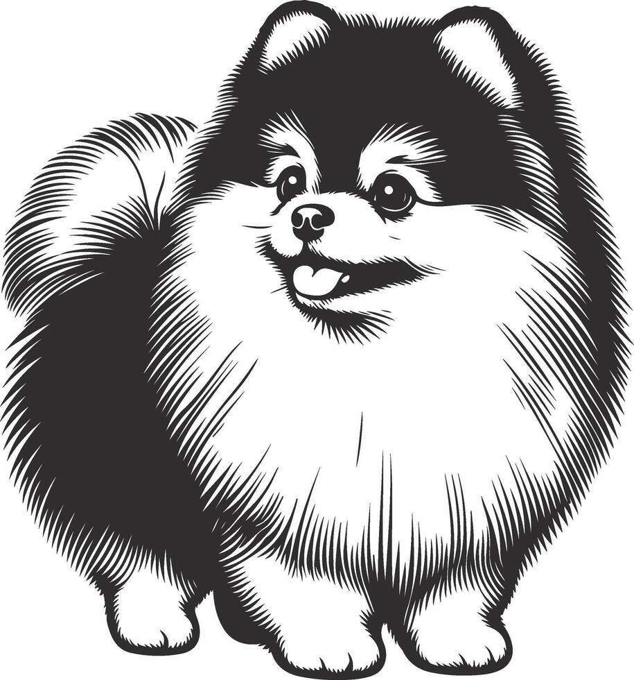 Cute pomeranian dog sketch hand drawn in illustration vector
