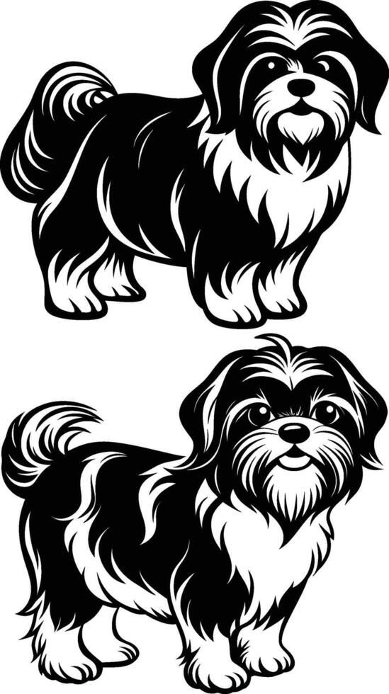 shih tzu illustration in monochrome black and white. vector