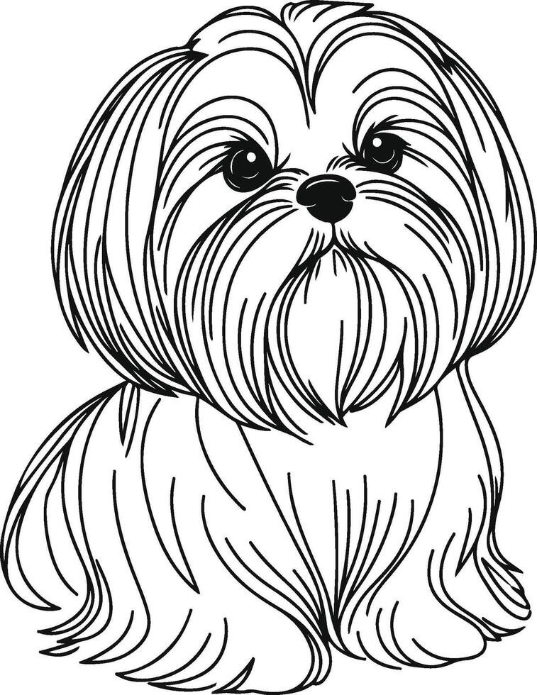 Shih tzu coloring pages vector