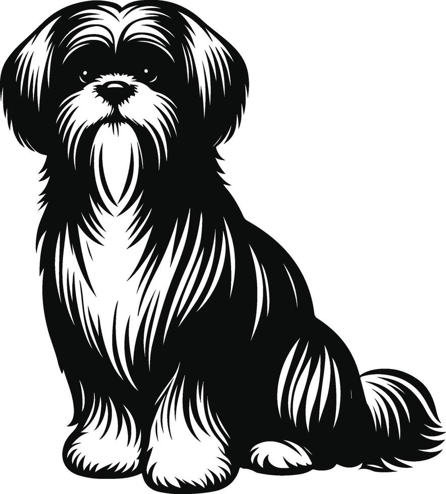 Shih tzu dog clip art illustration vector