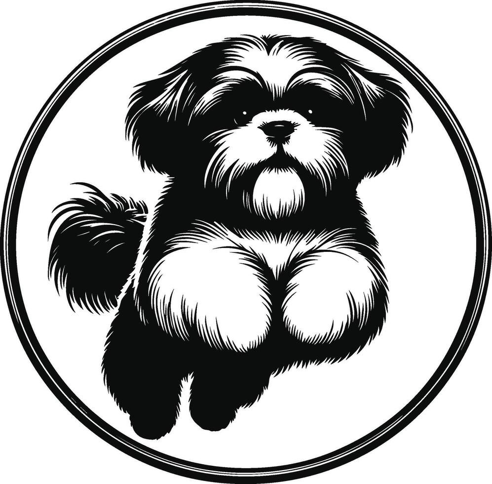 Shih Tzu dog line art hand drawing logo black and white pets illustration vector