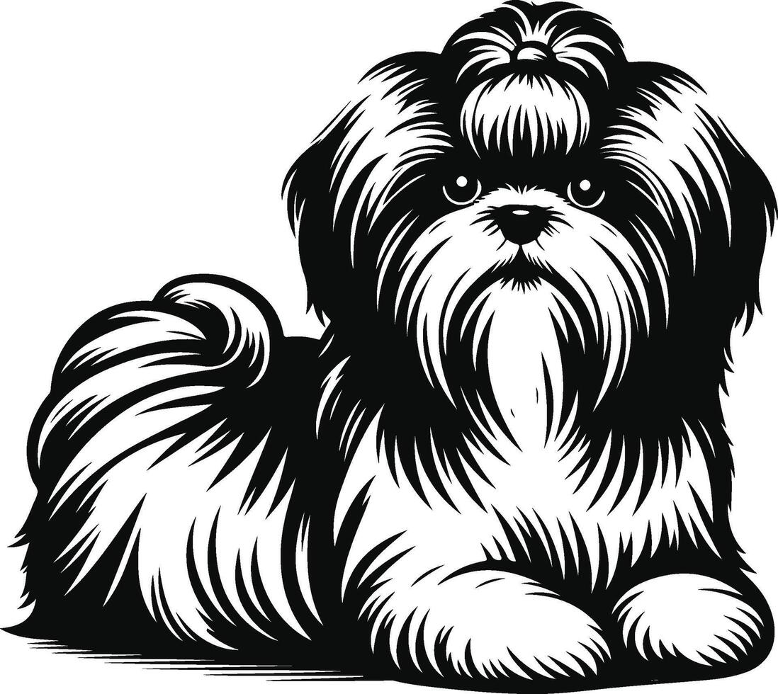 Shih Tzu dog illustration vector
