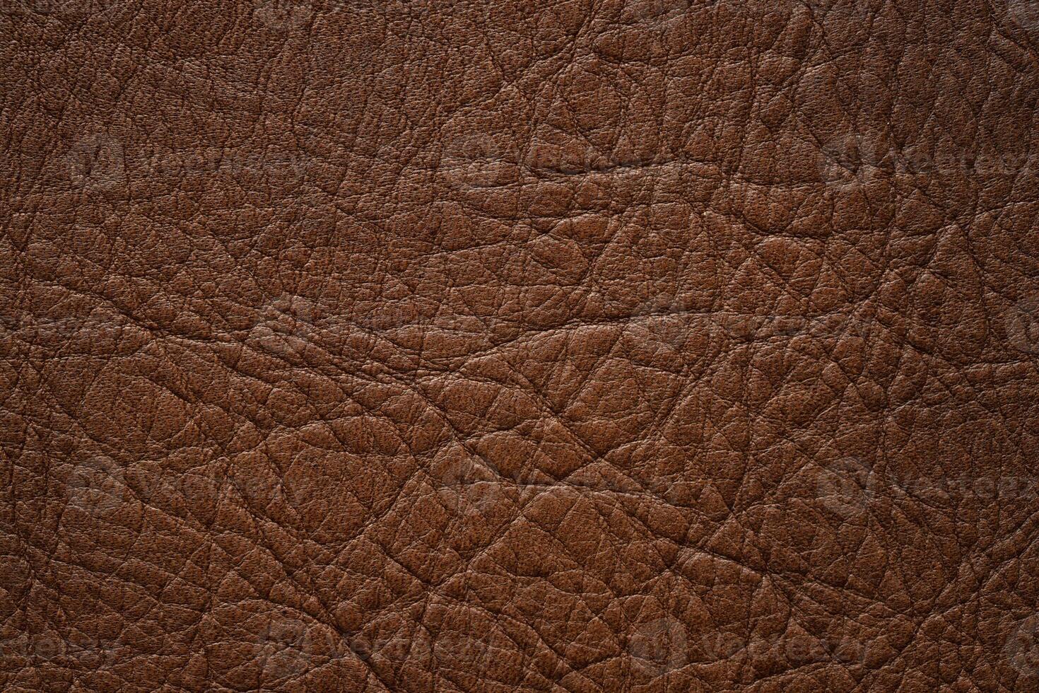 dark leather background. brown skin texture with natural pattern photo