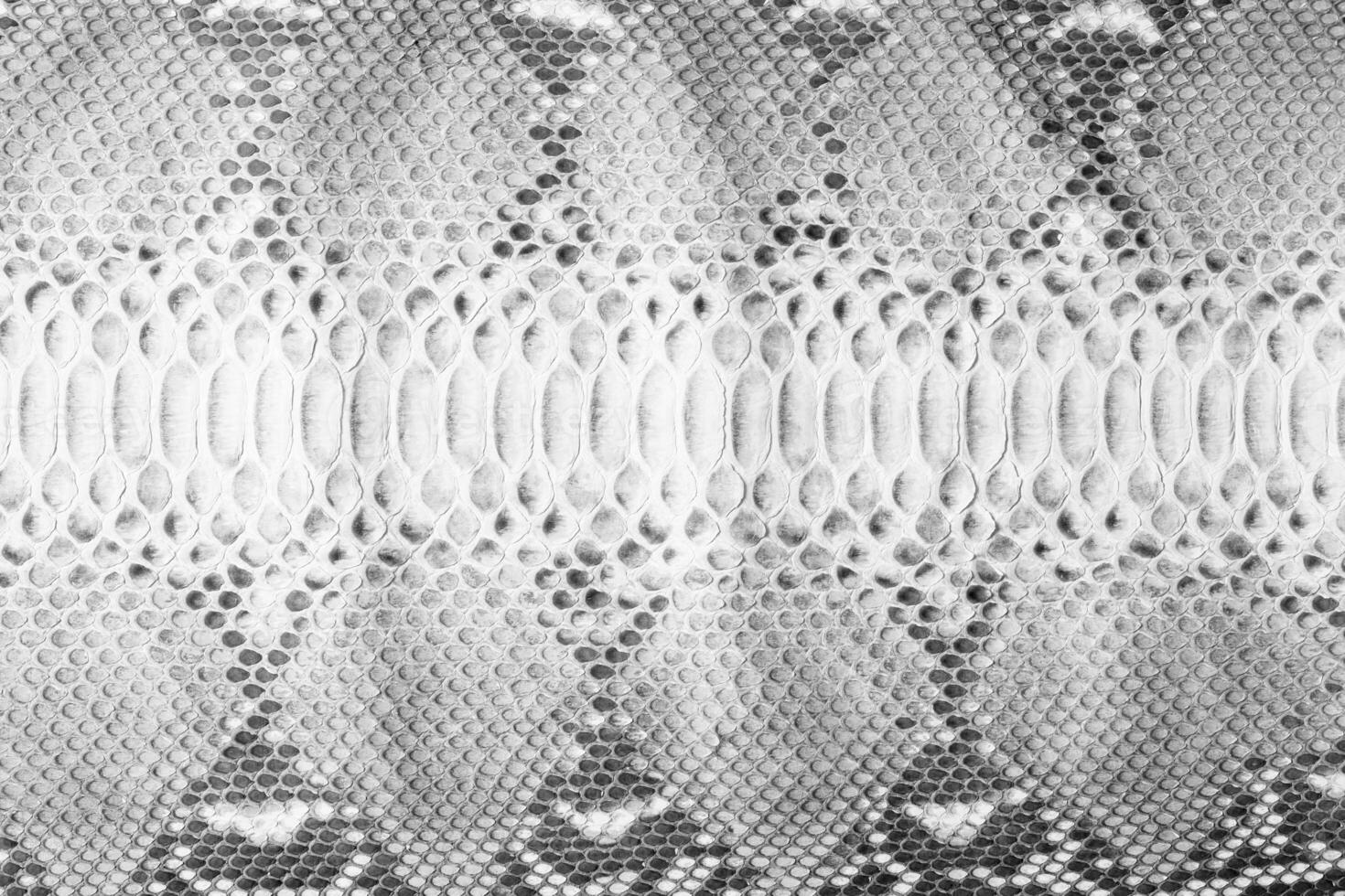black and white python skin as background. snake skin texture with natural pattern photo