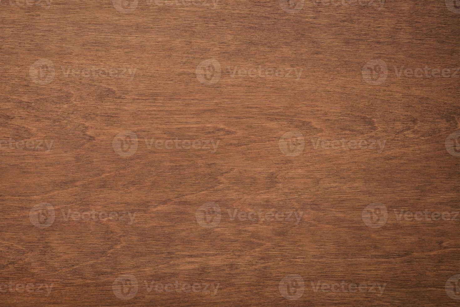 wood texture. old boards with copy space photo