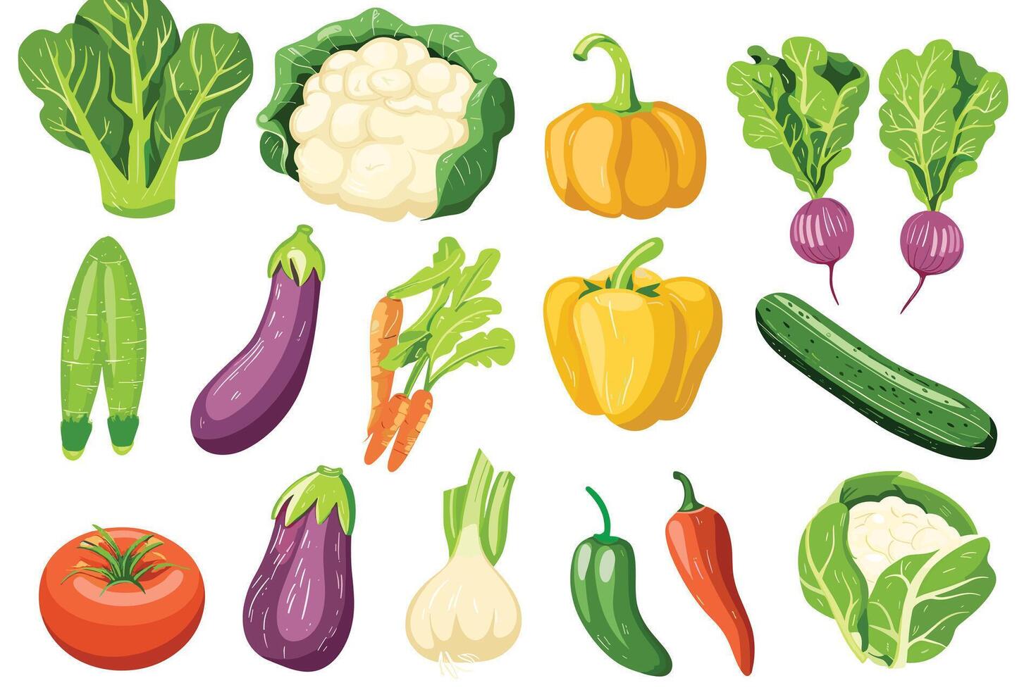 set of vegetable isolated on a white background. vector