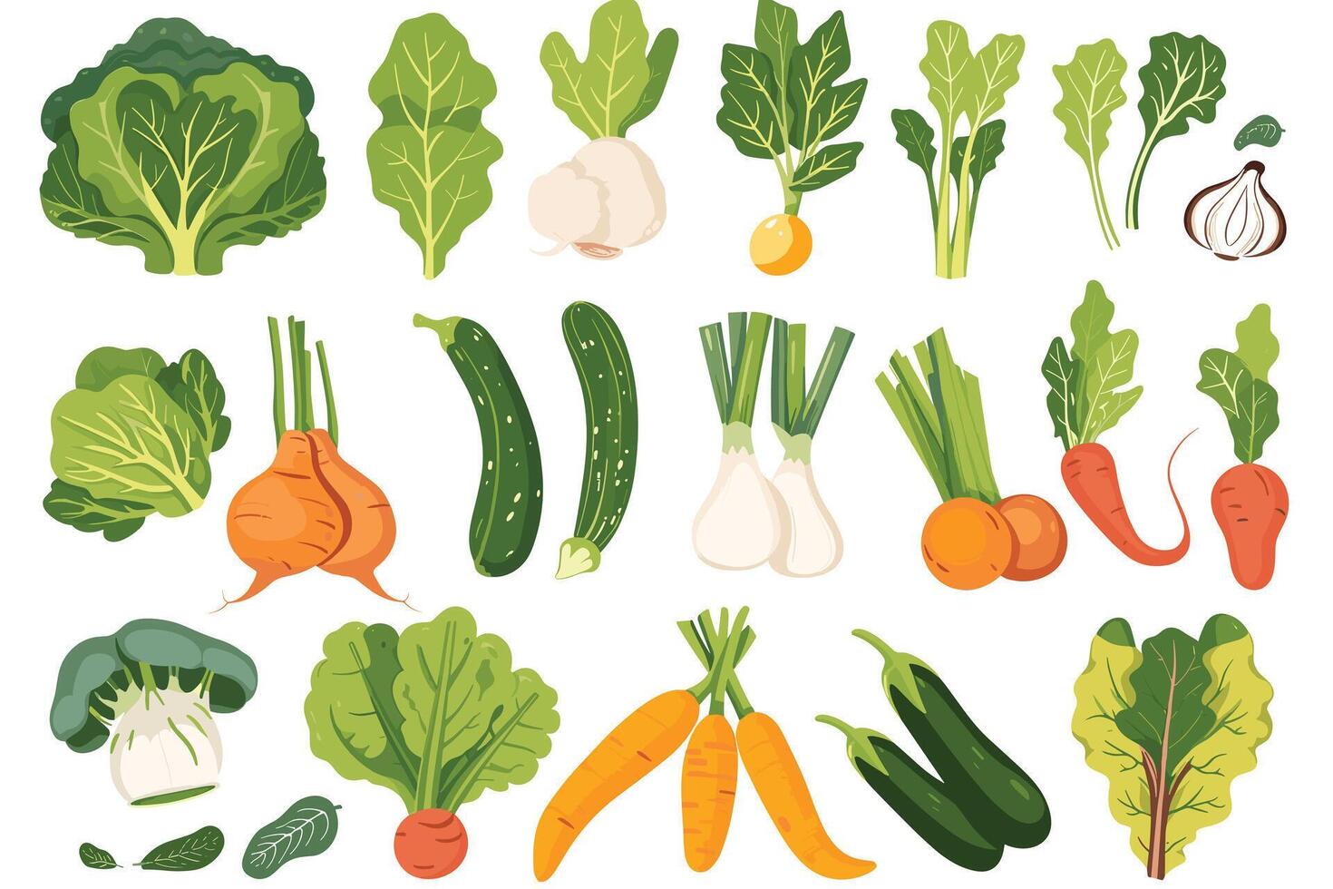 fresh vegetables Collection on whit background vector