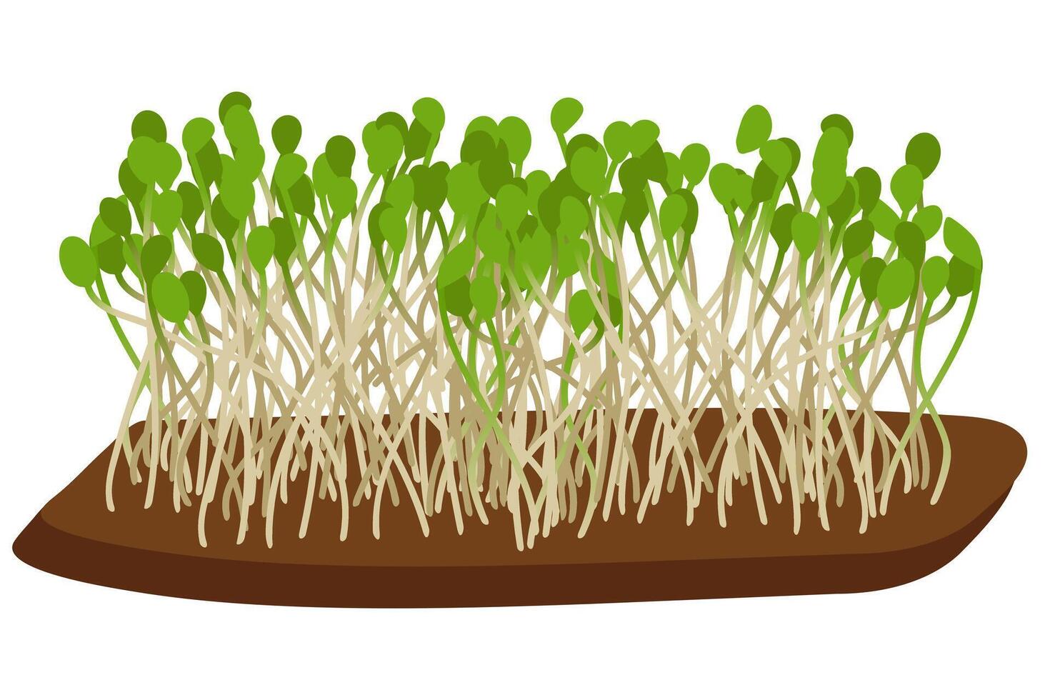 Green shoots on the ground vector