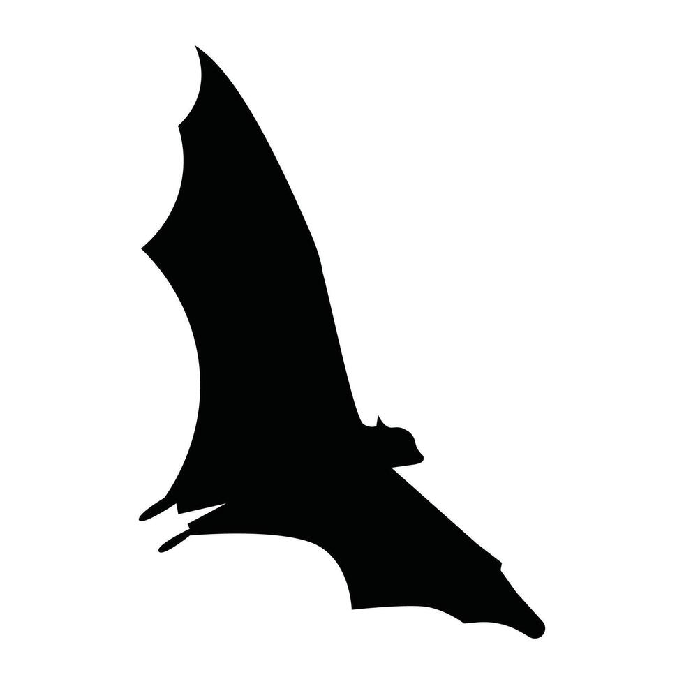 Flying Bat silhouette vector