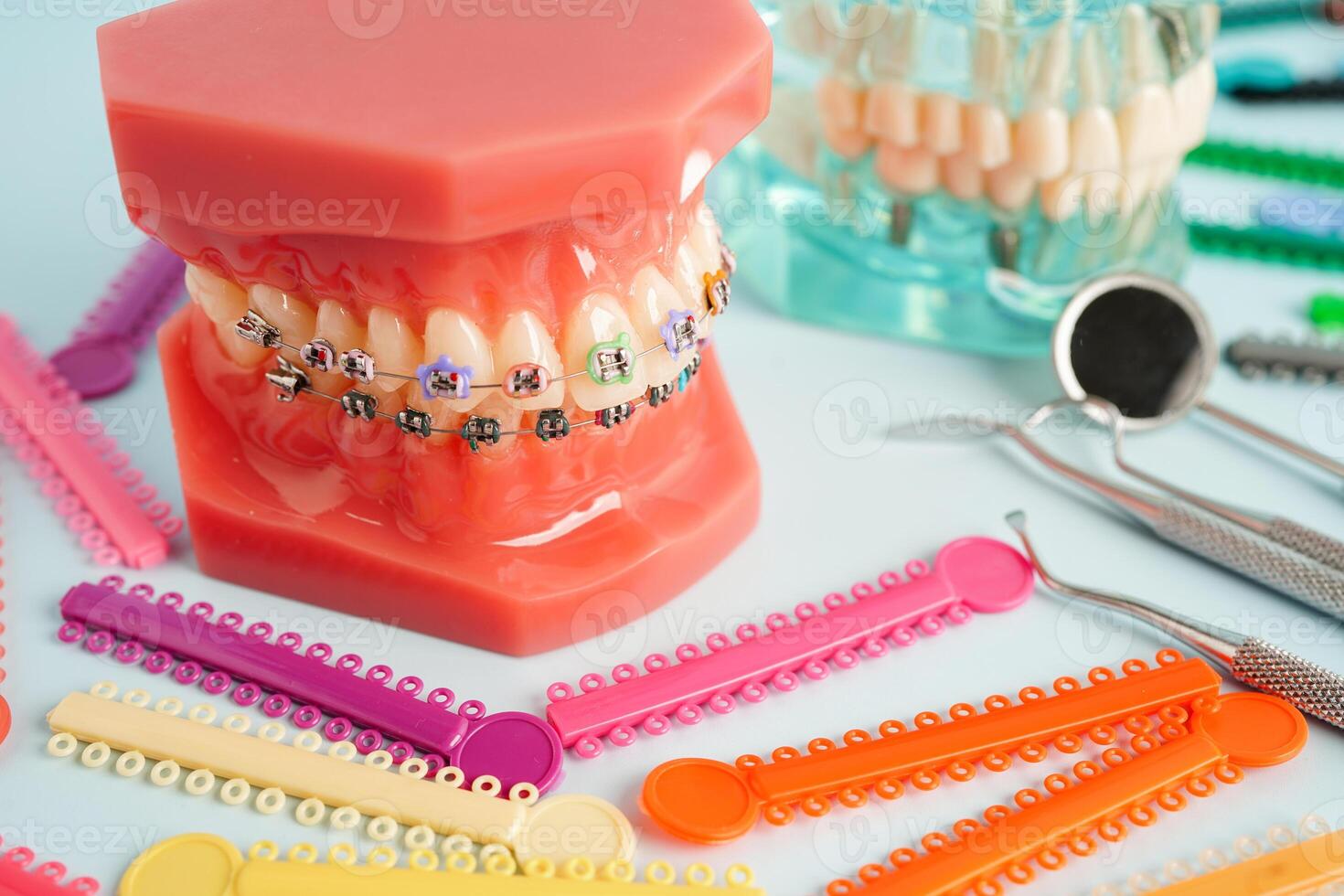 Orthodontic ligatures rings and ties, elastic rubber bands on orthodontic braces, model for dentist studying about dentistry. photo