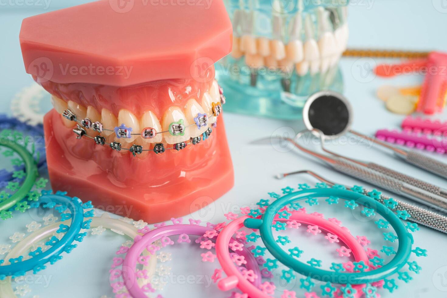 Orthodontic ligatures rings and ties, elastic rubber bands on orthodontic braces, model for dentist studying about dentistry. photo
