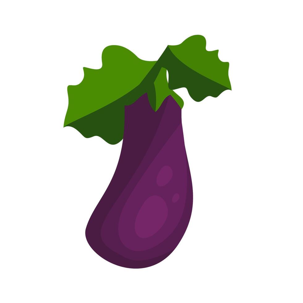 An eggplant with green leaves on it vector