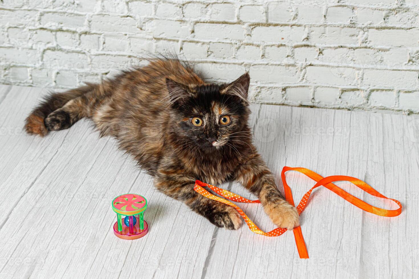 Beautiful little cat girl on a background of a brick wall photo