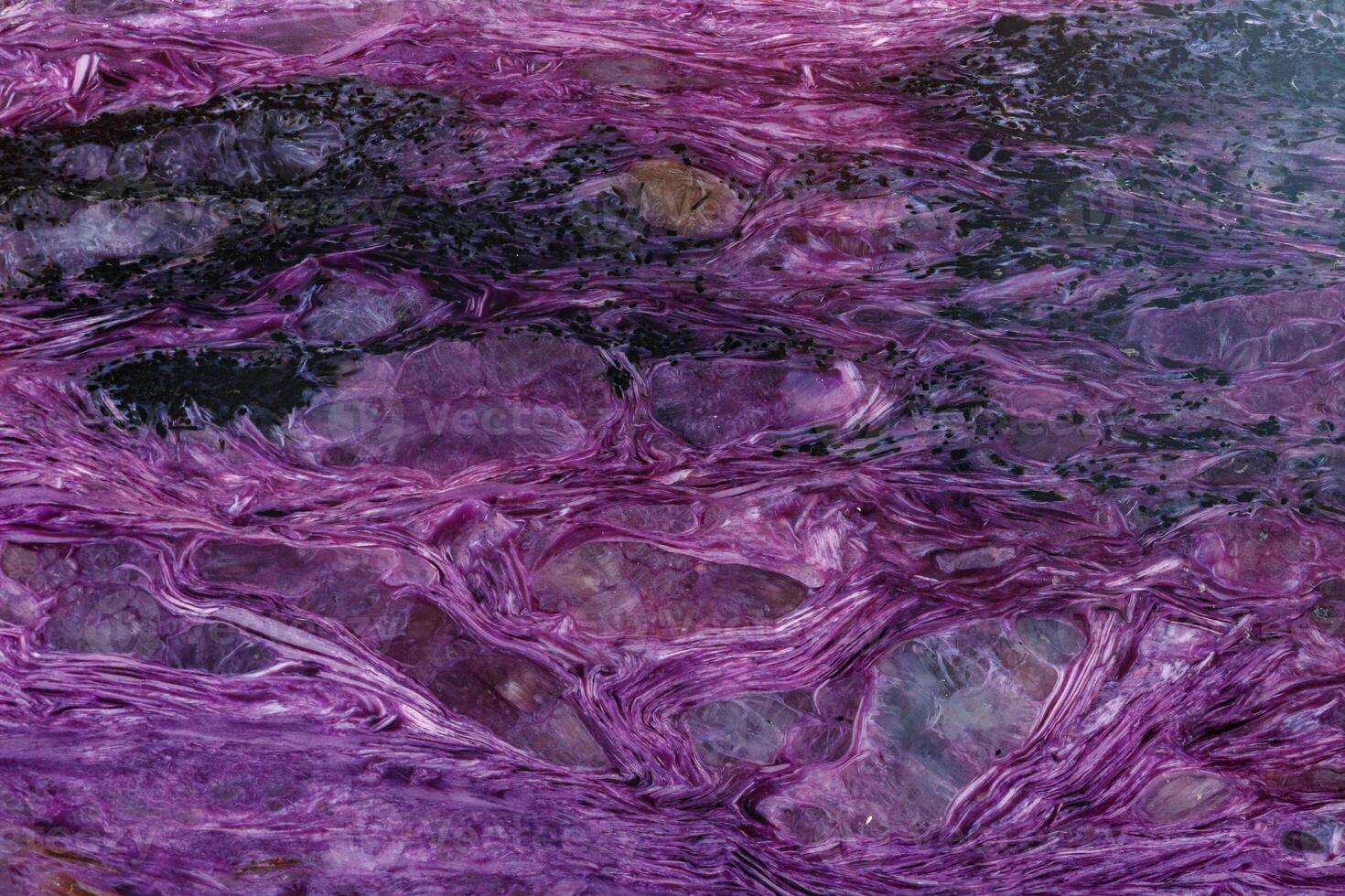 macro mineral stone Charoite on a white background photo
