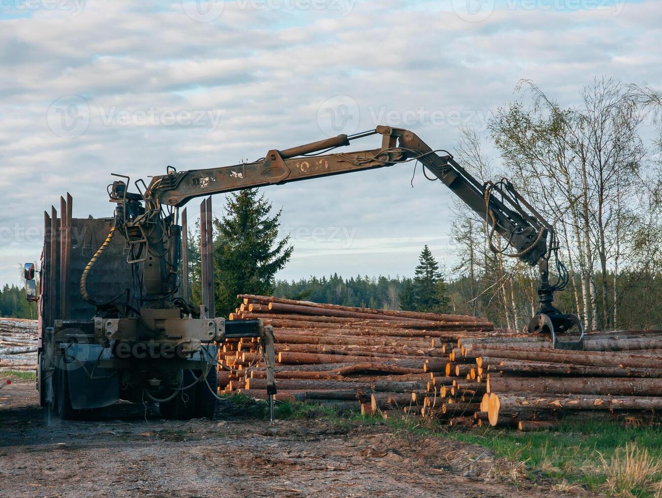 Loading logs using hydraulic machinery on logging truck photo