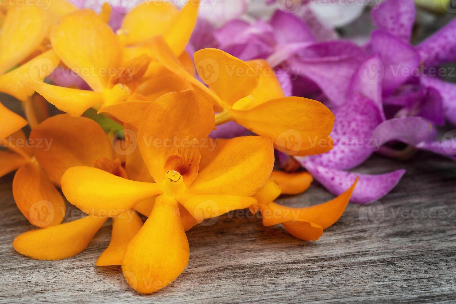 Orchid on wooden background photo