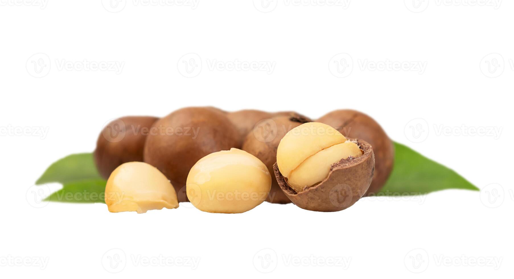 Several macadamia nuts with leaves isolated photo