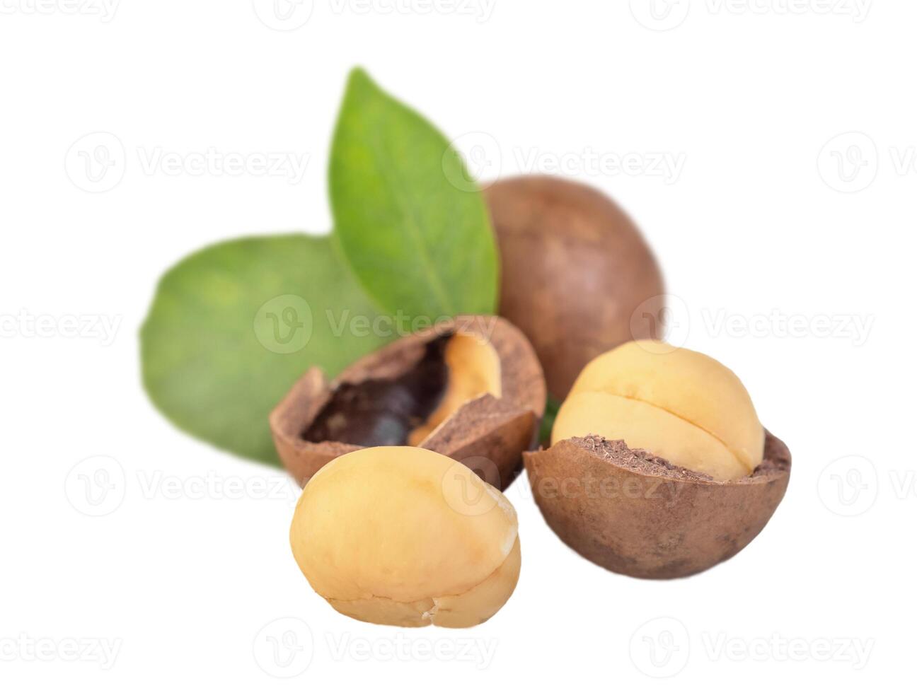 Peeled and whole nuts with macadamia leaf isolated photo