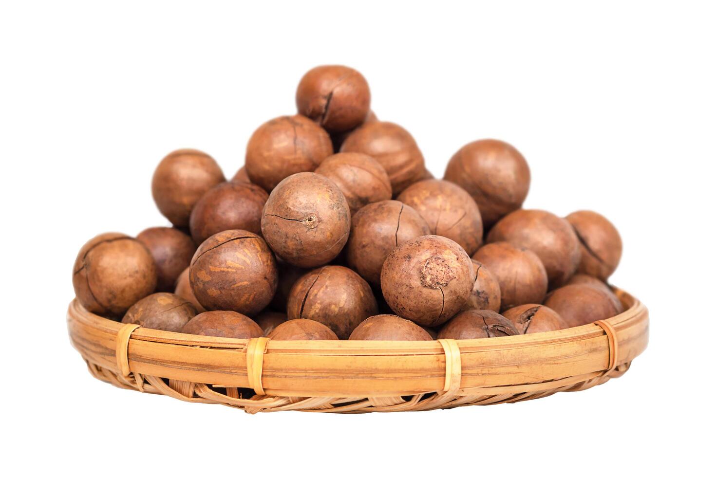 A pile of macadamia nuts in a basket isolated photo