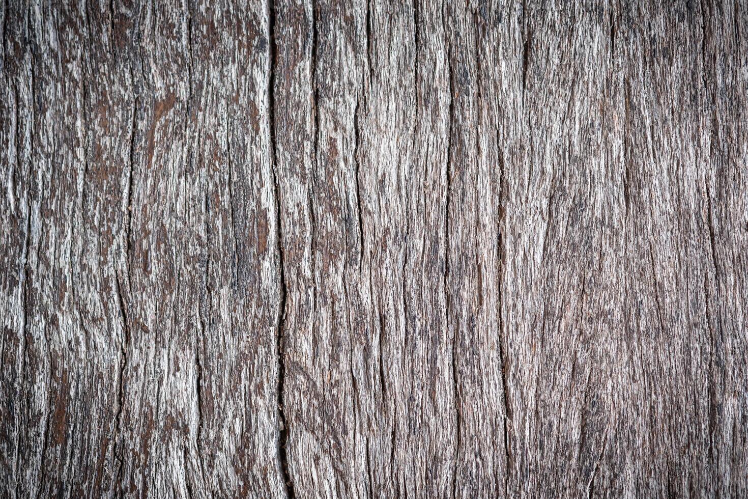 light gray wood background photo