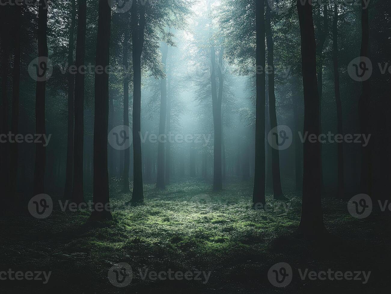 Mystic Light in a Forest photo