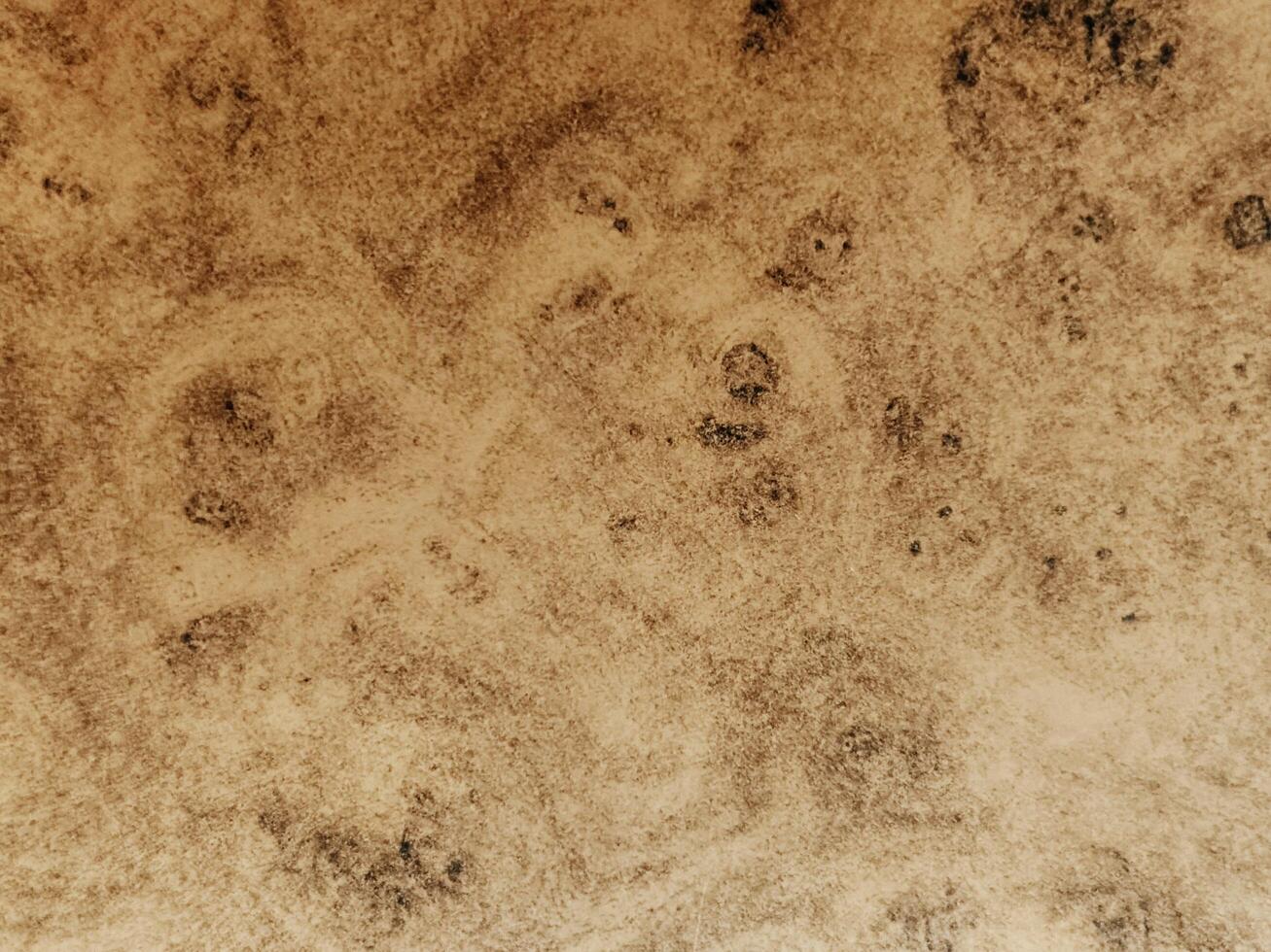 A detailed close-up of a brown textured surface with natural, abstract organic patterns, creating an earthy aesthetic photo