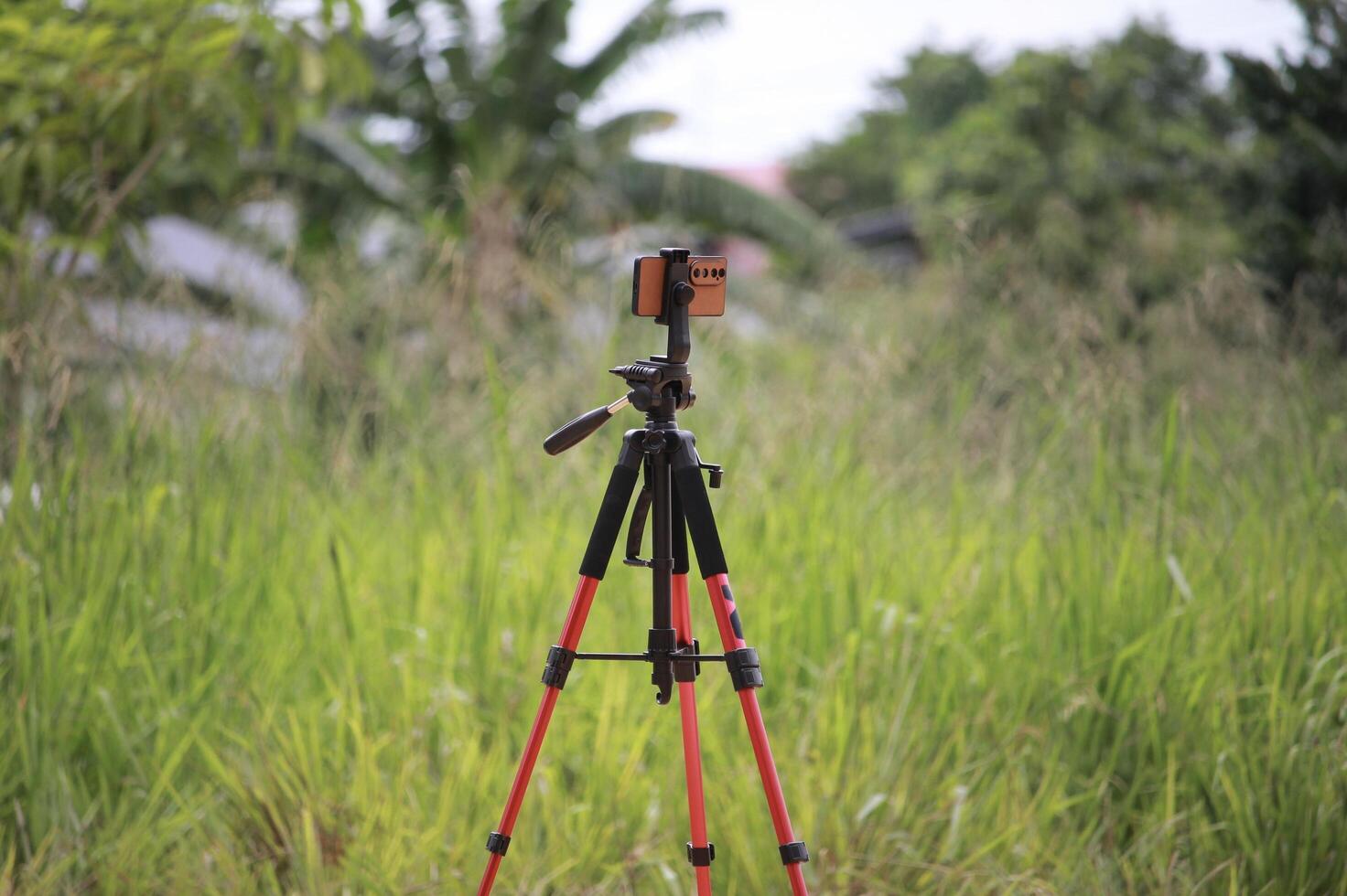 Tripod with Mounted Camera Standing in a Field of Lush Green Grass photo