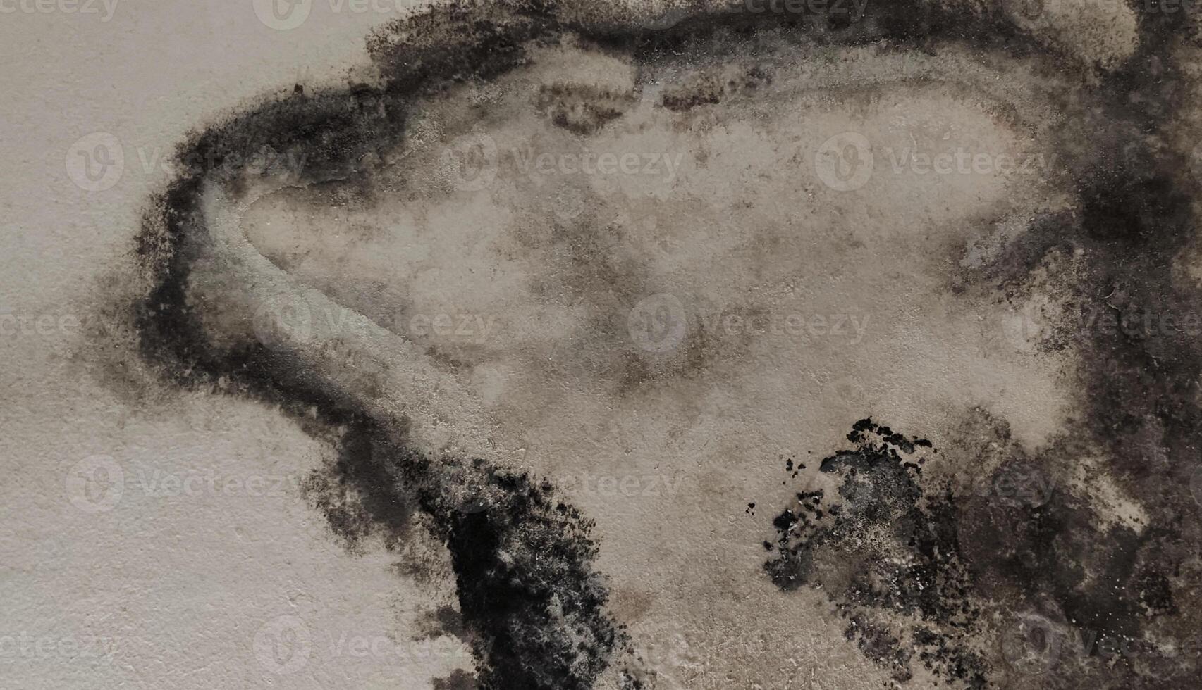 A textured wall with black stains resembling mold or moisture. The contrast between the black stains and the wall creates a naturally abstract artistic effect photo