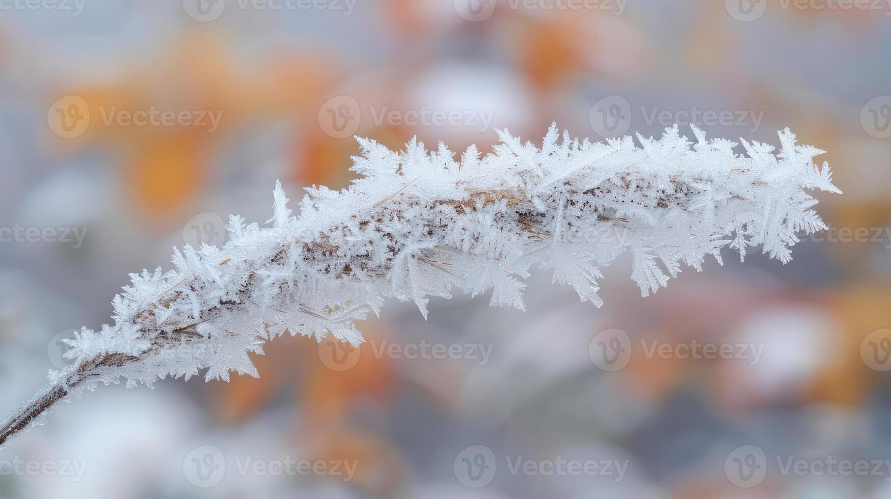 A close-up of a branch covered in frost with a blurred background of fall foliage. photo