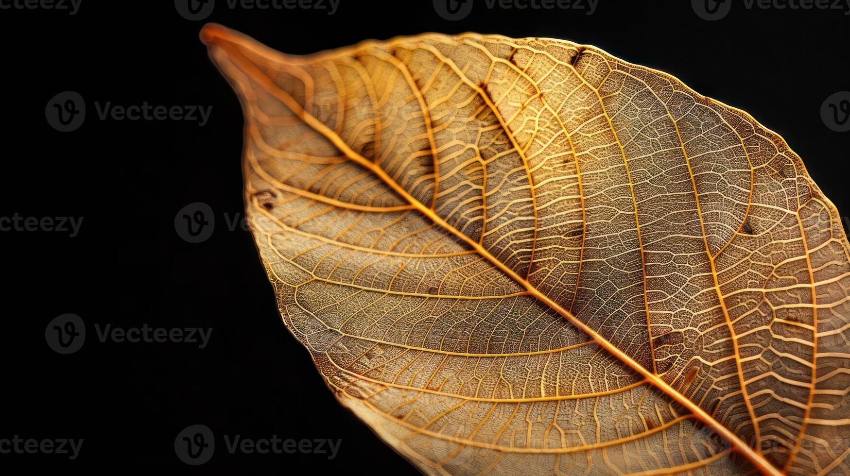 Close-up of a dried, golden leaf with visible veins against a black background. photo