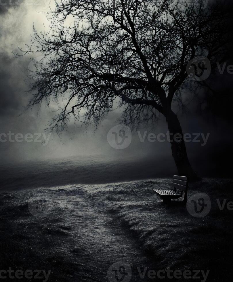Mysterious Lone Bench Under Bare Tree Amidst Foggy Landscape photo