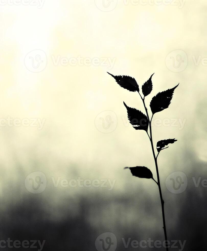 Ethereal Silhouette Flavored Leaf Against Soft Highlighted Background photo