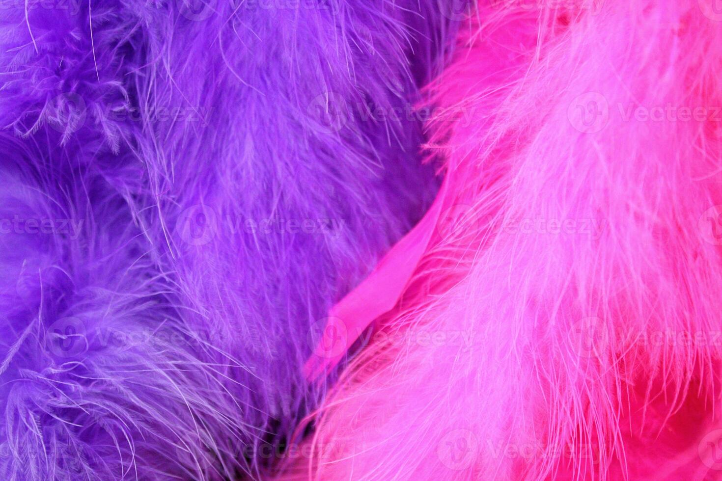 Funky Retro Pink and Purple Feather Boa Background photo