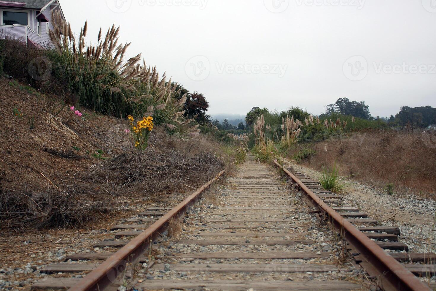 Old railroad in foggy weather. photo