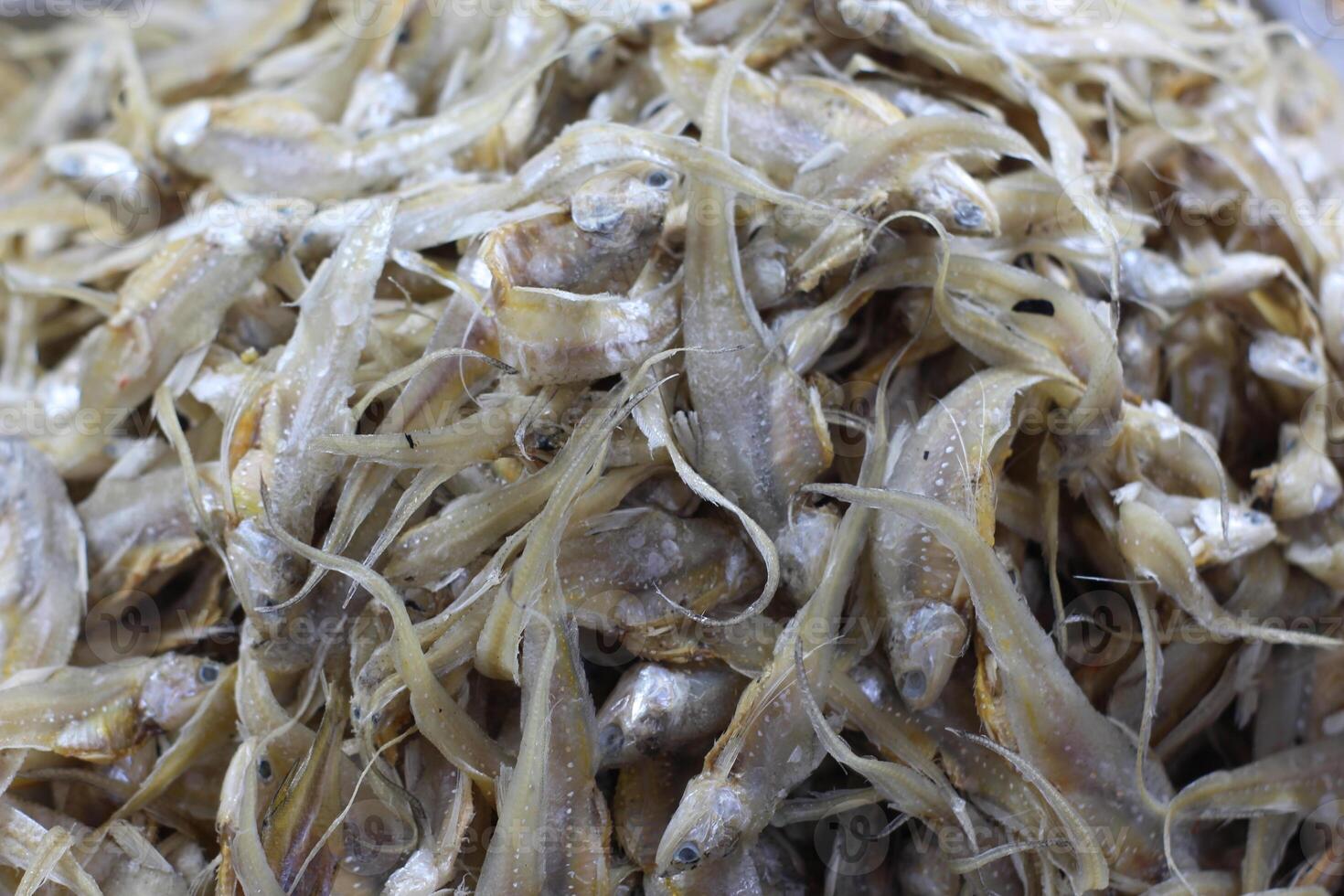 Dried fish display in a seafood market. Fish that is being dried in the sun to be salted fish and sold. Salted Anchovies in one large tray. Heap of dried peeled anchovies photo