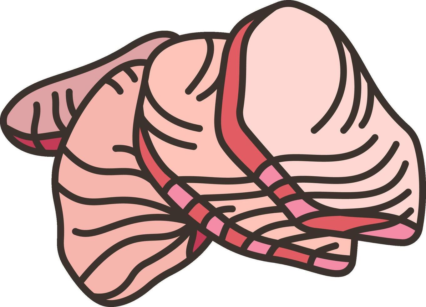 A piece of meat is shown in a cartoon style vector