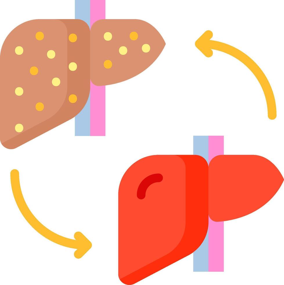 Liver and liver function vector