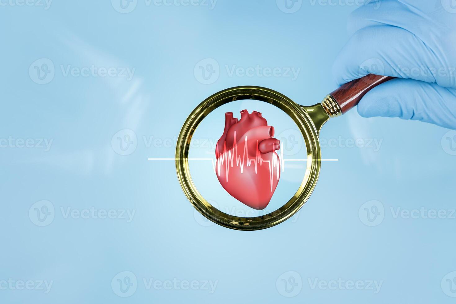 Doctor hand with magnifying glass with heart icon. Close-up of human heart model held in gloved hand. photo