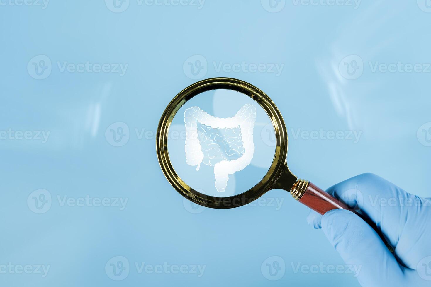 Mockup of a human with internal organs and red intestines under a magnifying glass on a blue background. photo
