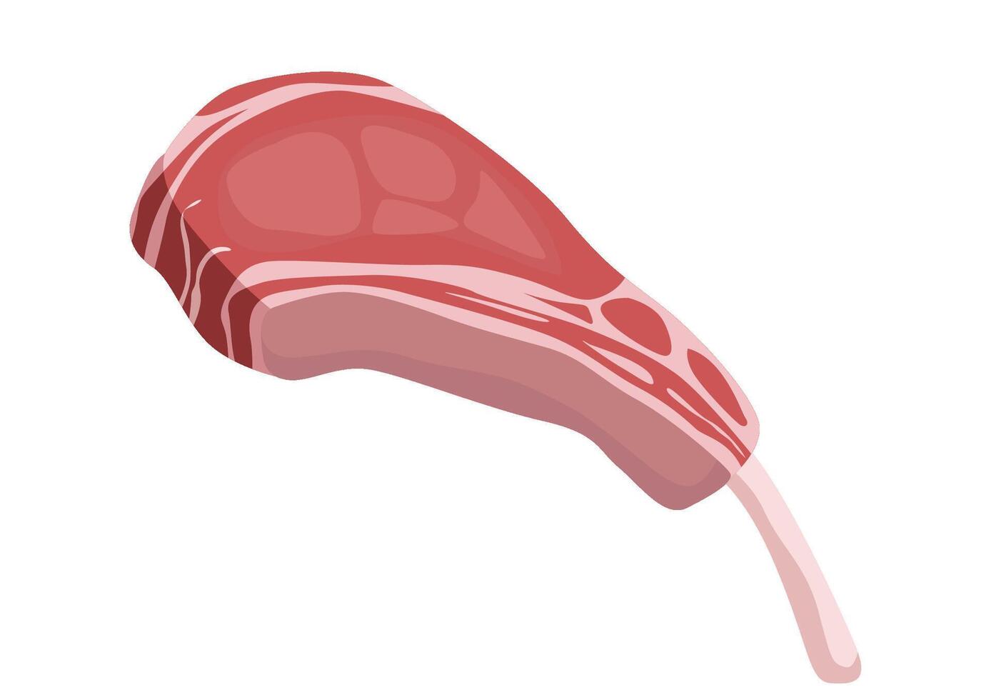 Watercolor illustration of a single piece raw meat - lamb on the bone vector