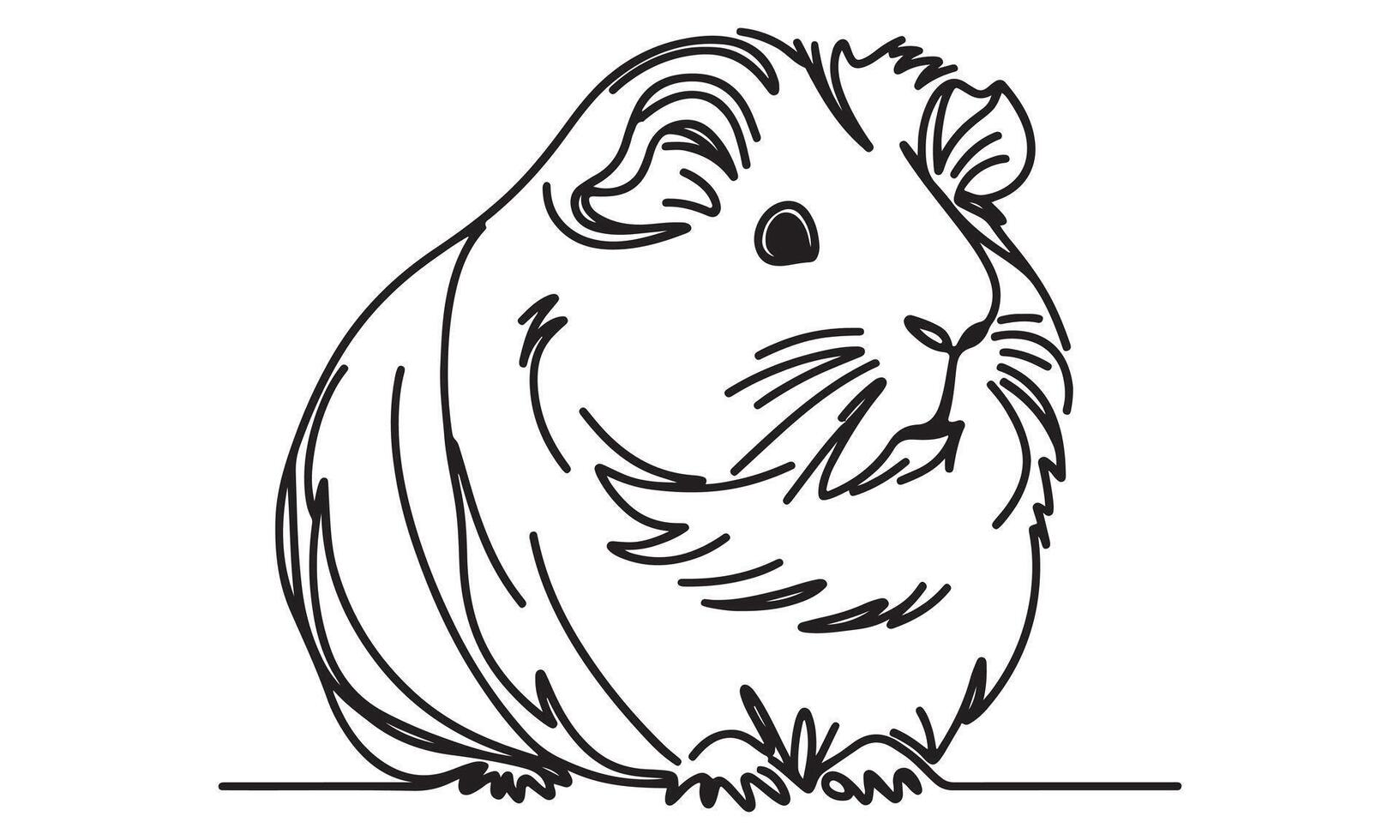 Guinea pig illustration vector