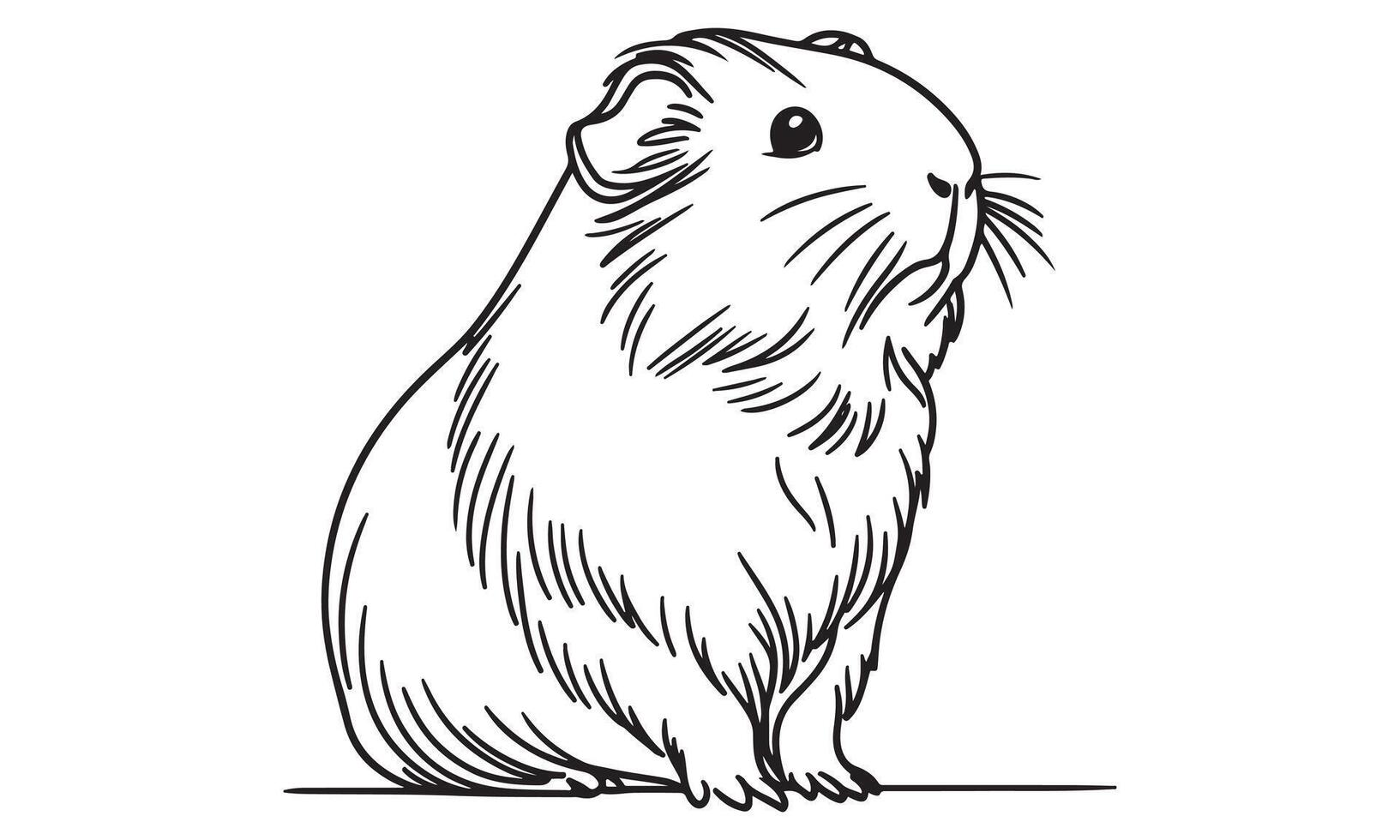 Guinea pig illustration vector
