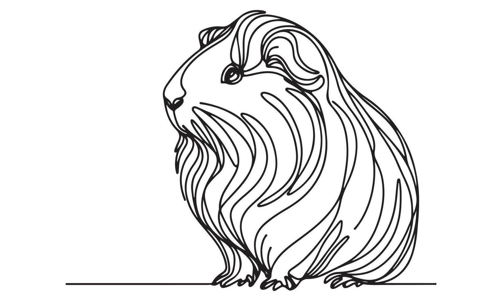 Guinea pig illustration vector