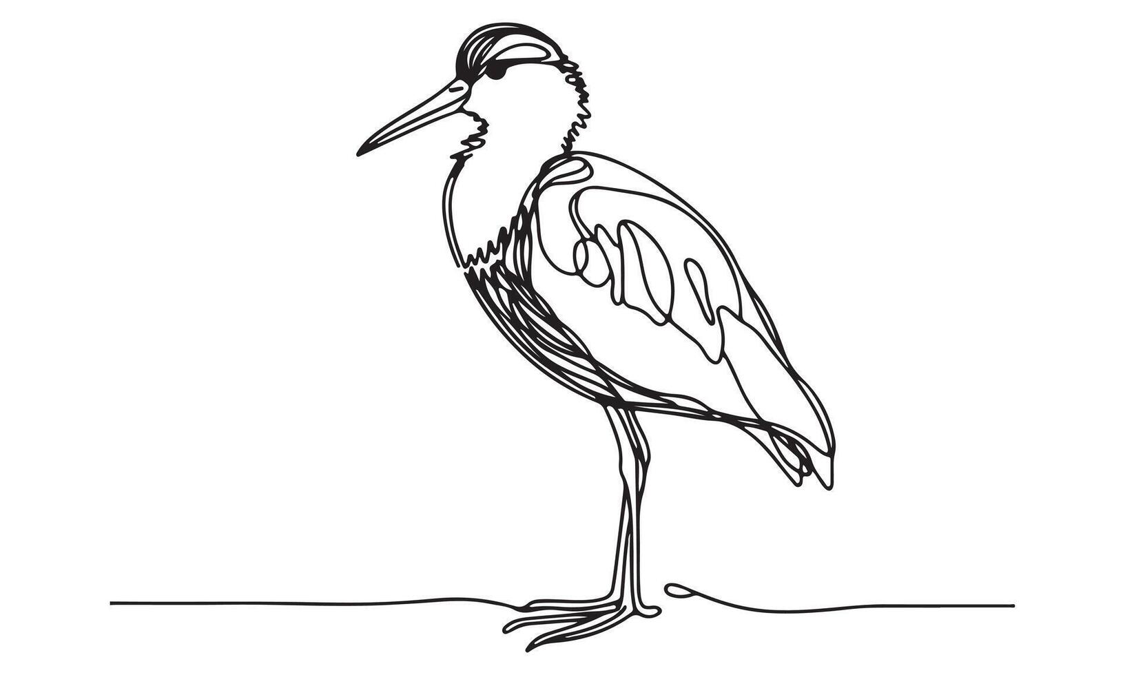 Heron standing on the shore line drawing vector