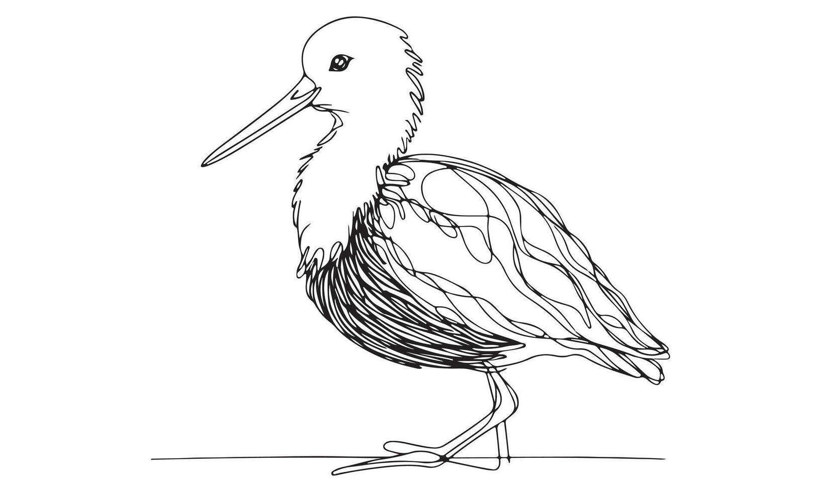 A drawing of a bird with long beak vector