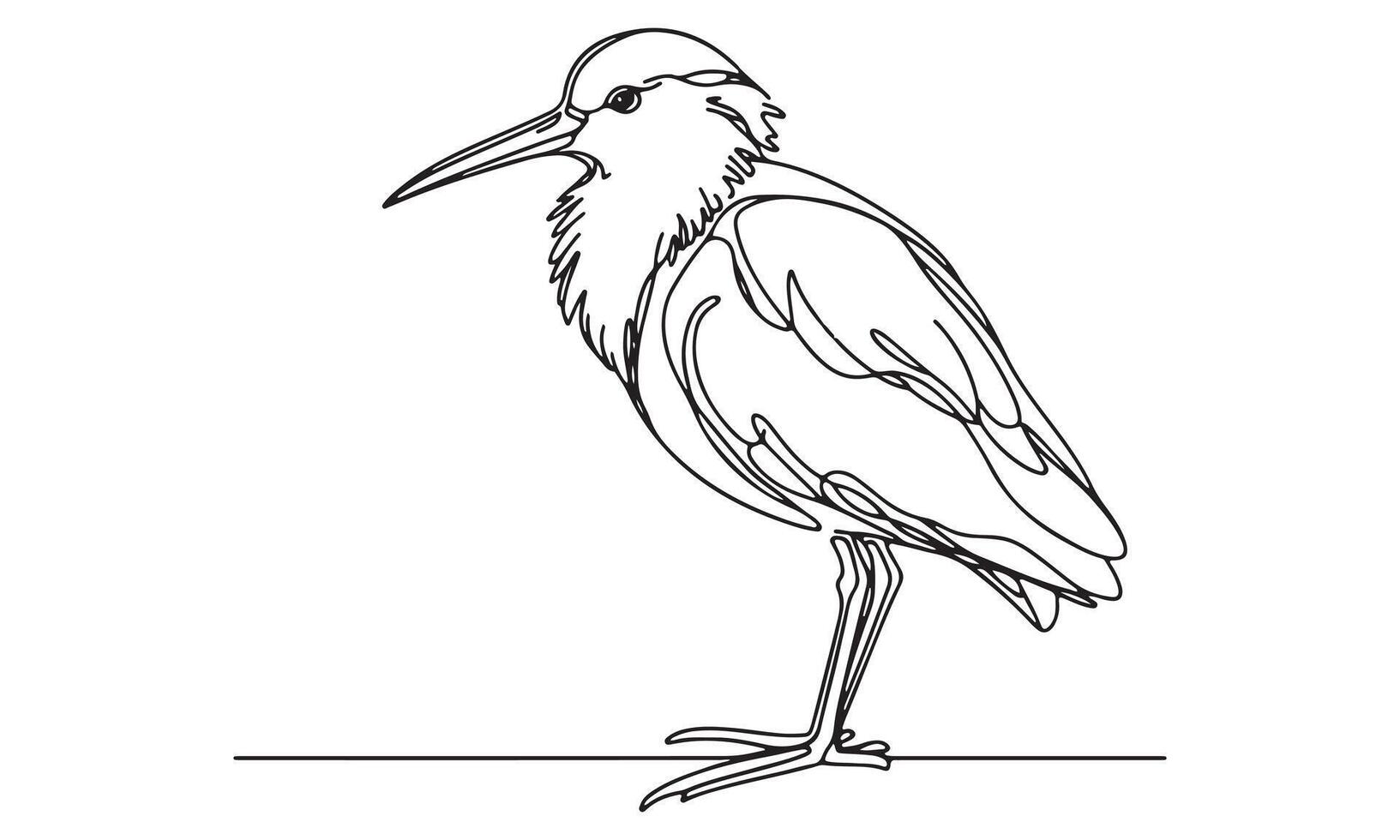 A drawing of a heron standing on a branch vector