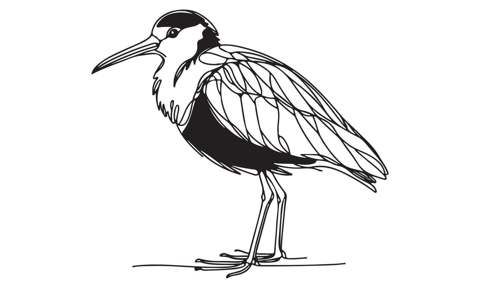 A drawing of a bird standing on its legs vector