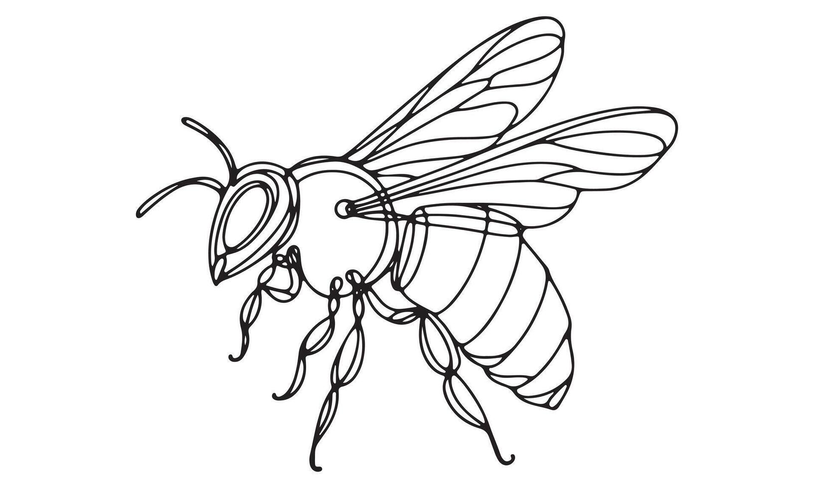 Bee coloring page with a bee on a white background vector