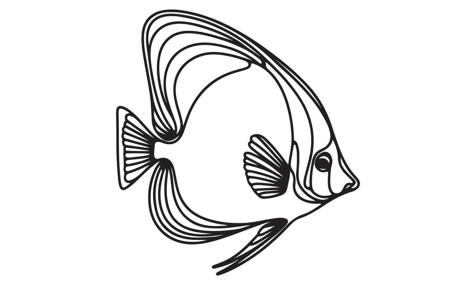 A black and white drawing of an angel fish vector