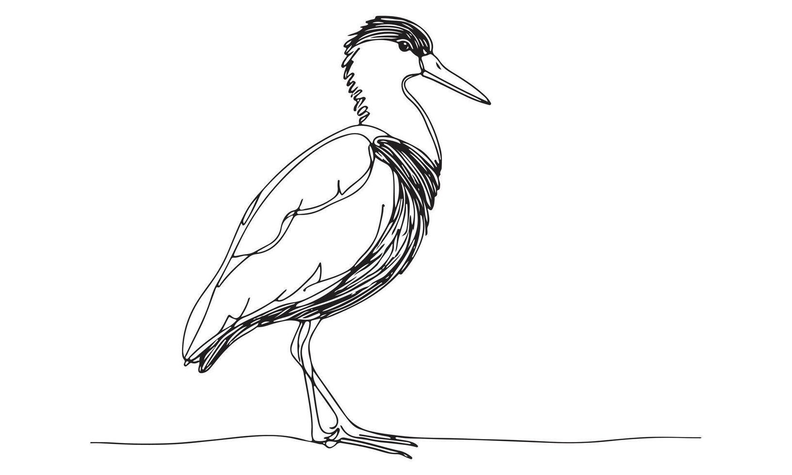 A drawing of a heron standing on the ground vector